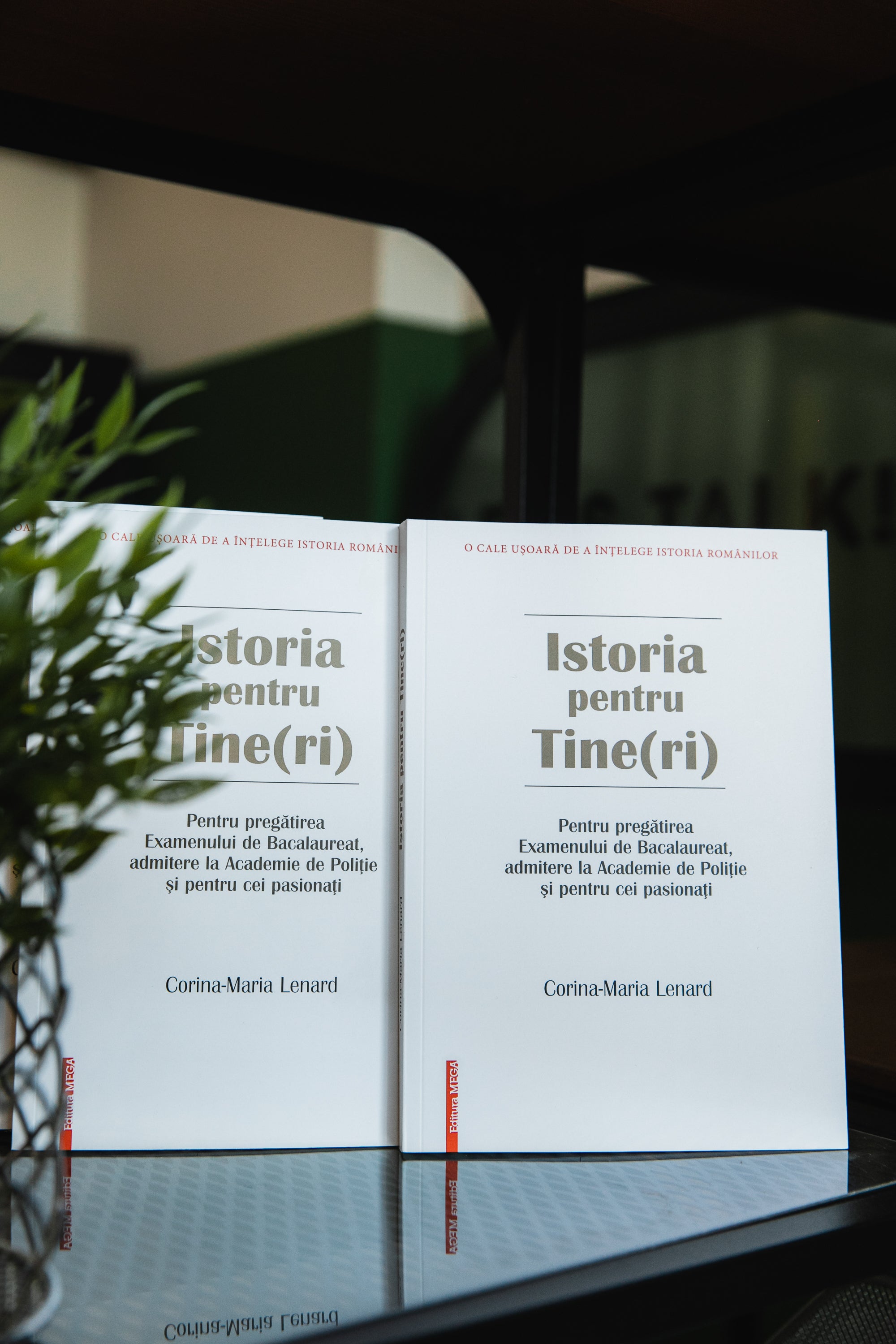 Istoria pentru Tine(ri)